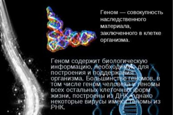 Международный проект «Геном человека Глава II