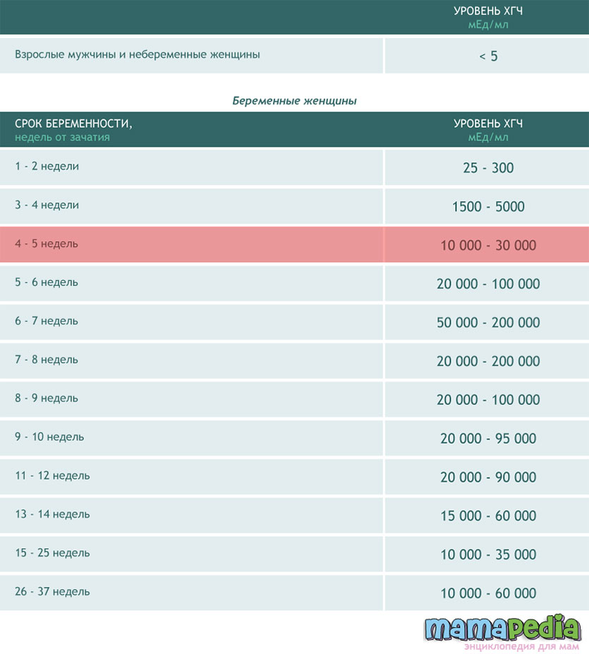 Хгч. Уровень ХГЧ при беременности 3 недели. Уровень ХГЧ при беременности 5 недель. ХГЧ при 5 неделях беременности норма. ХГЧ на 4 неделе беременности норма.